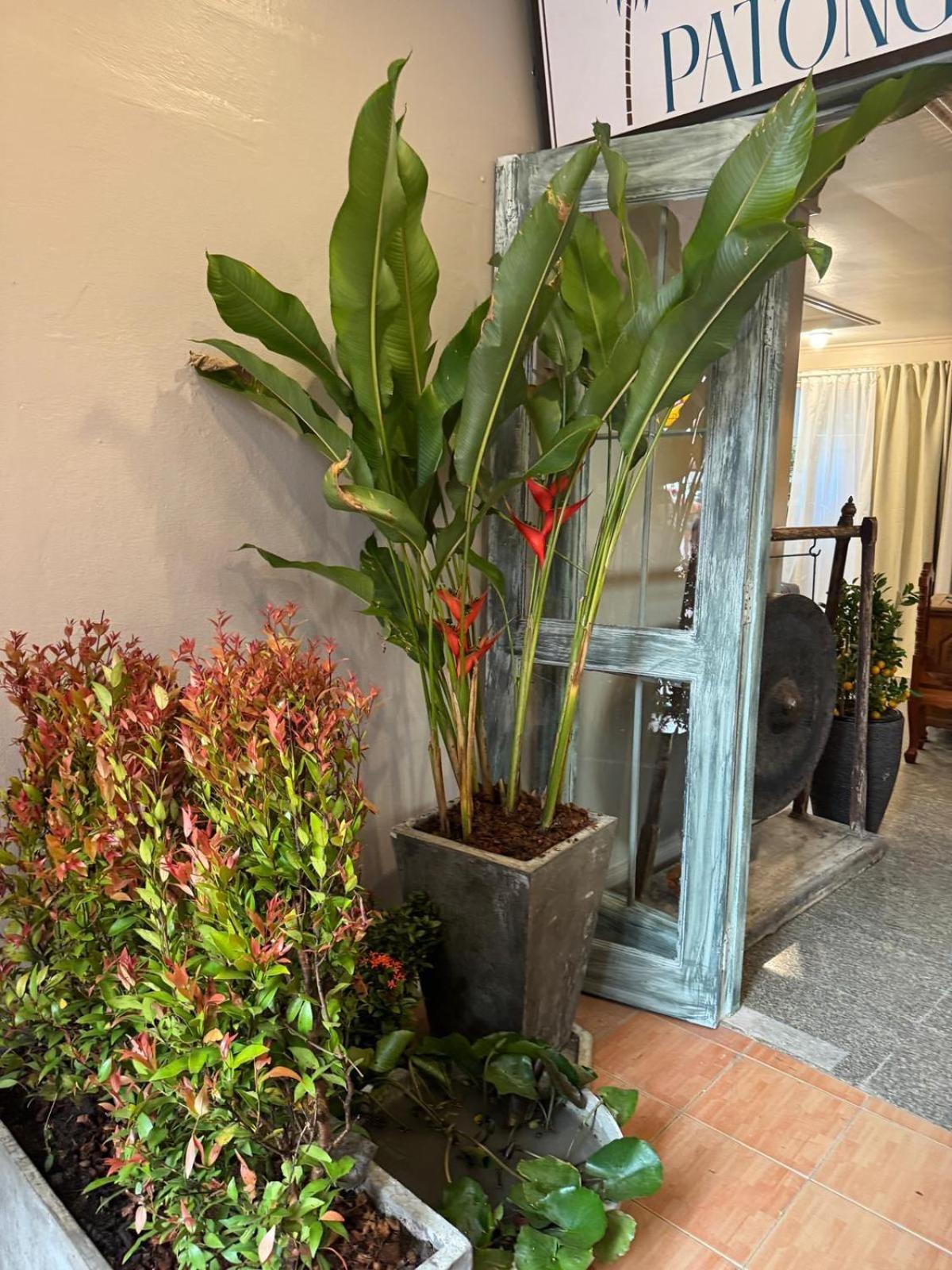 The Taksim Patong Beach Hotel Bagian luar foto